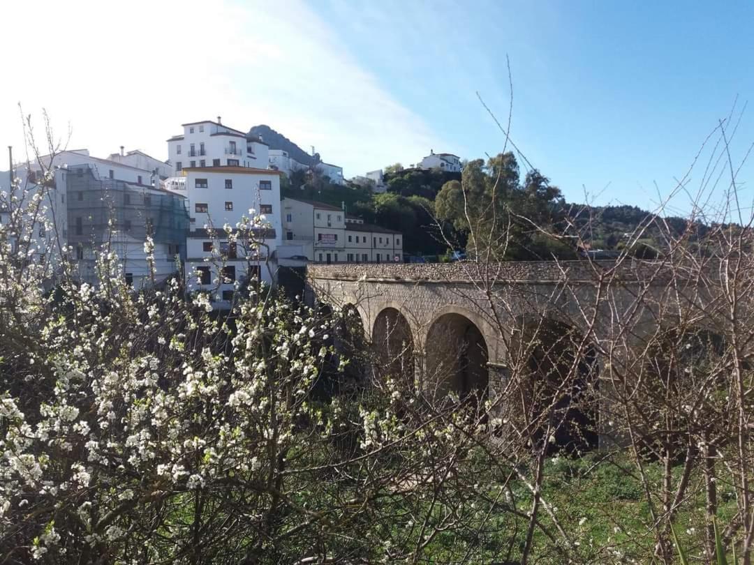 Casa Rural Sierras De Gaucin Daire Dış mekan fotoğraf