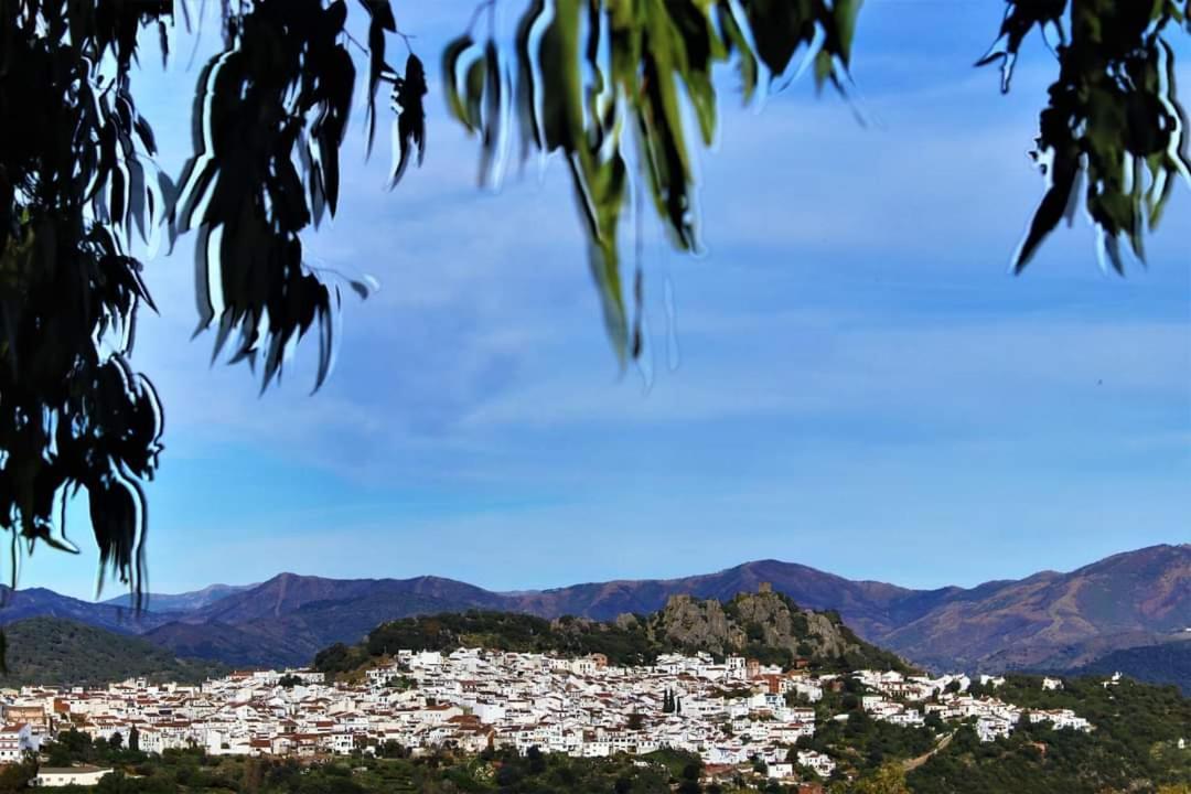 Casa Rural Sierras De Gaucin Daire Dış mekan fotoğraf