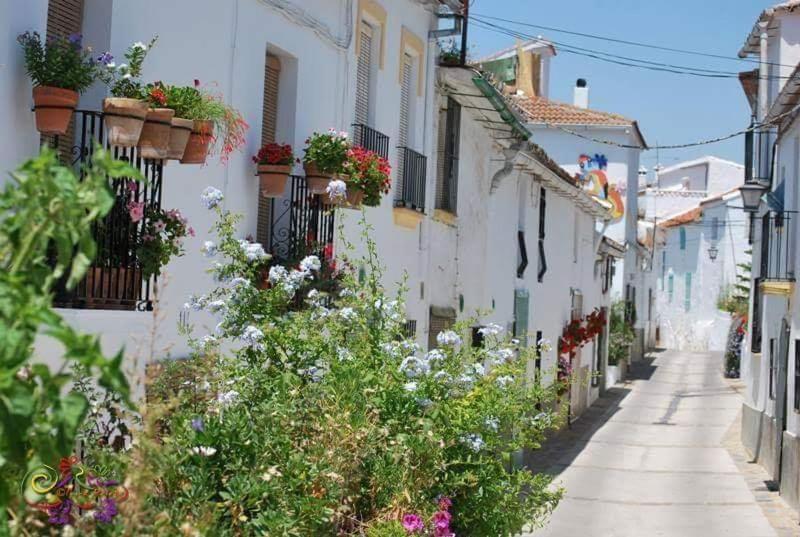 Casa Rural Sierras De Gaucin Daire Dış mekan fotoğraf