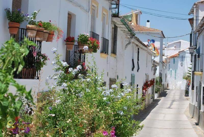Casa Rural Sierras De Gaucín Dış mekan fotoğraf